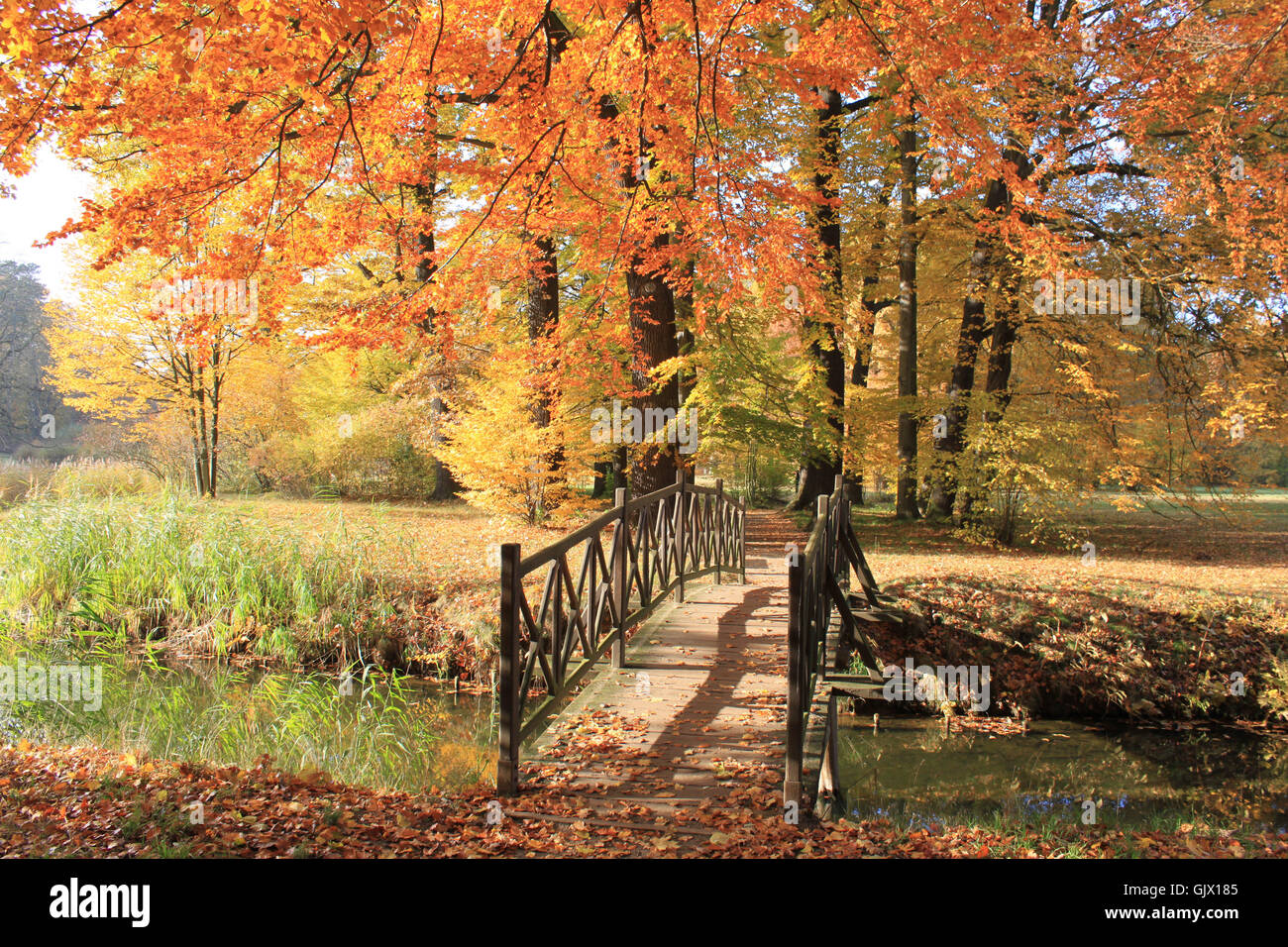 Struttura di ponte verde Foto Stock