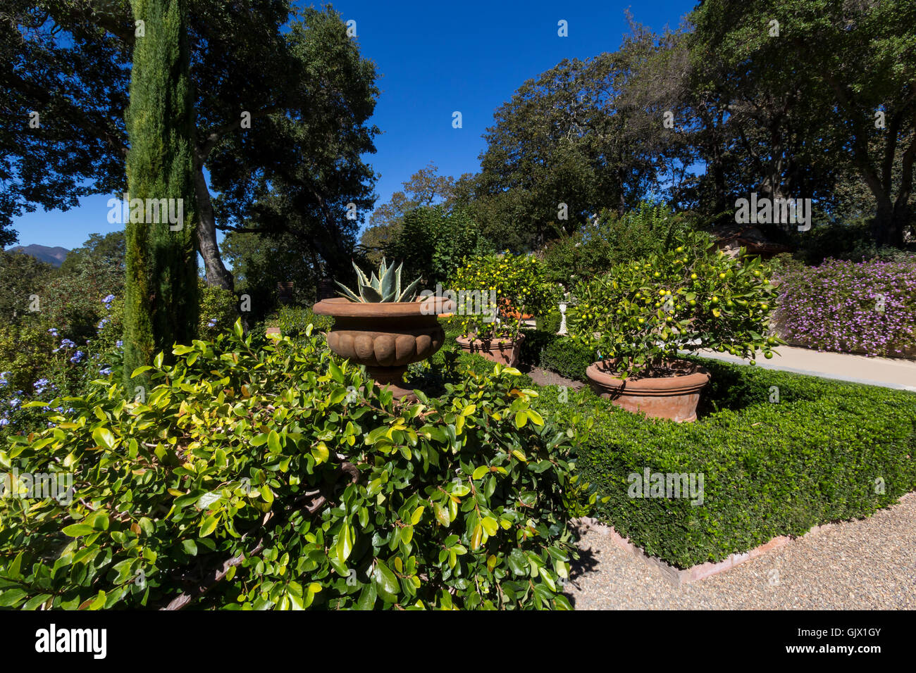 Giardino, giardinaggio, giardino paesaggistico, Blankiet Estate, Yountville, la Valle di Napa NAPA County, California, Stati Uniti, America del Nord Foto Stock