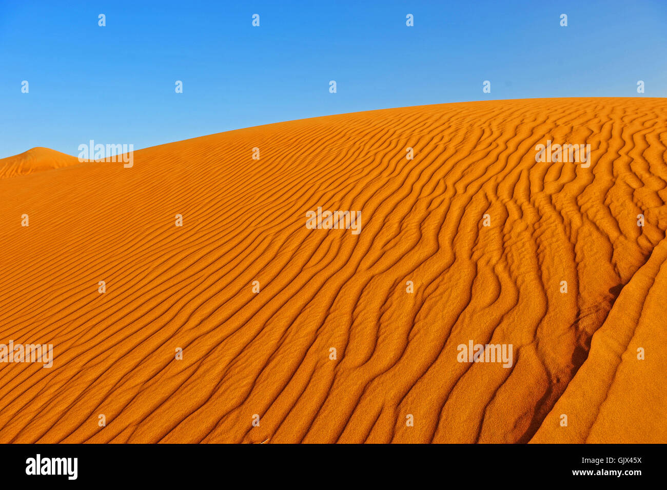 deserto Foto Stock