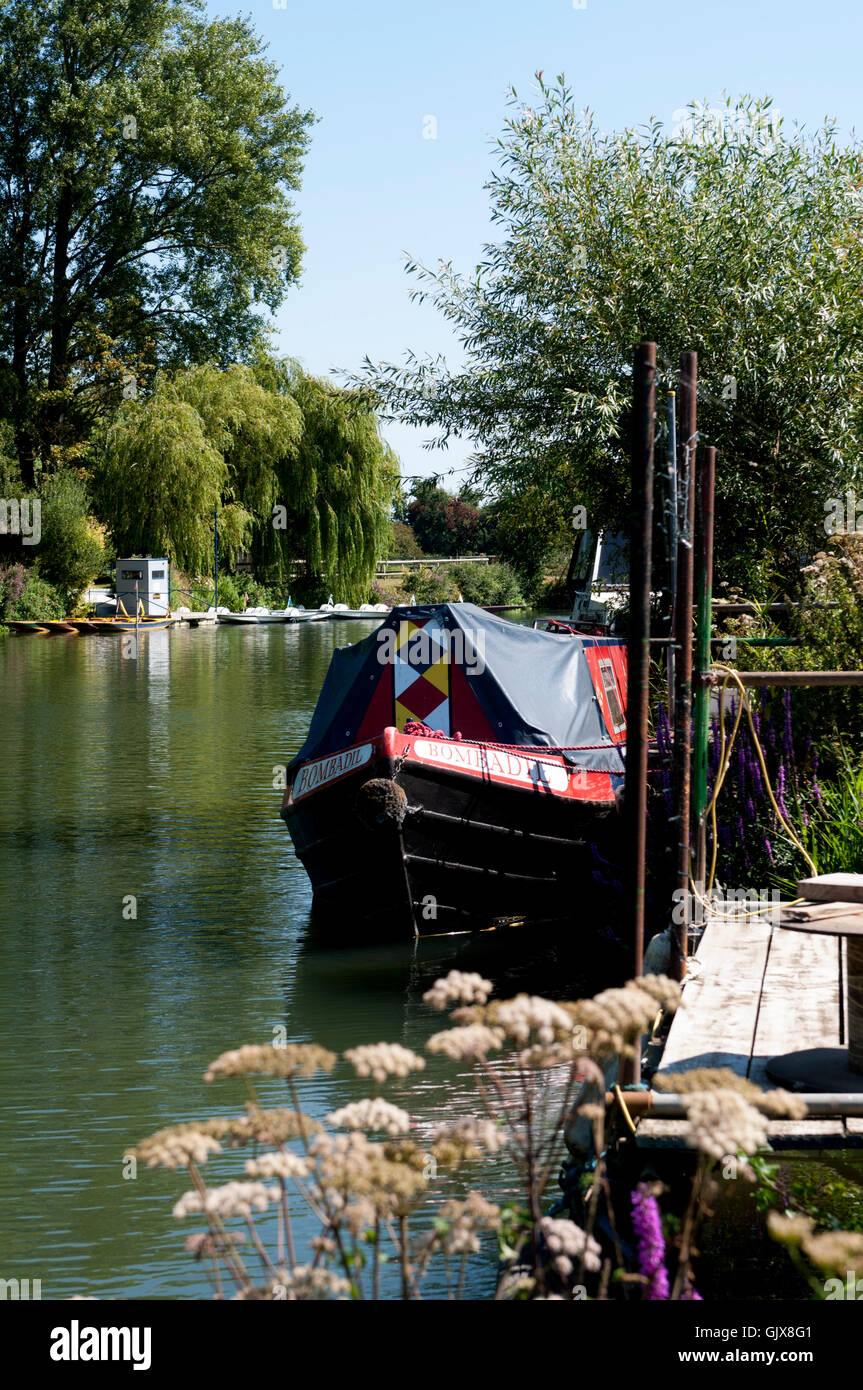 Il fiume il Tamigi a Newbridge, Oxfordshire, England, Regno Unito Foto Stock