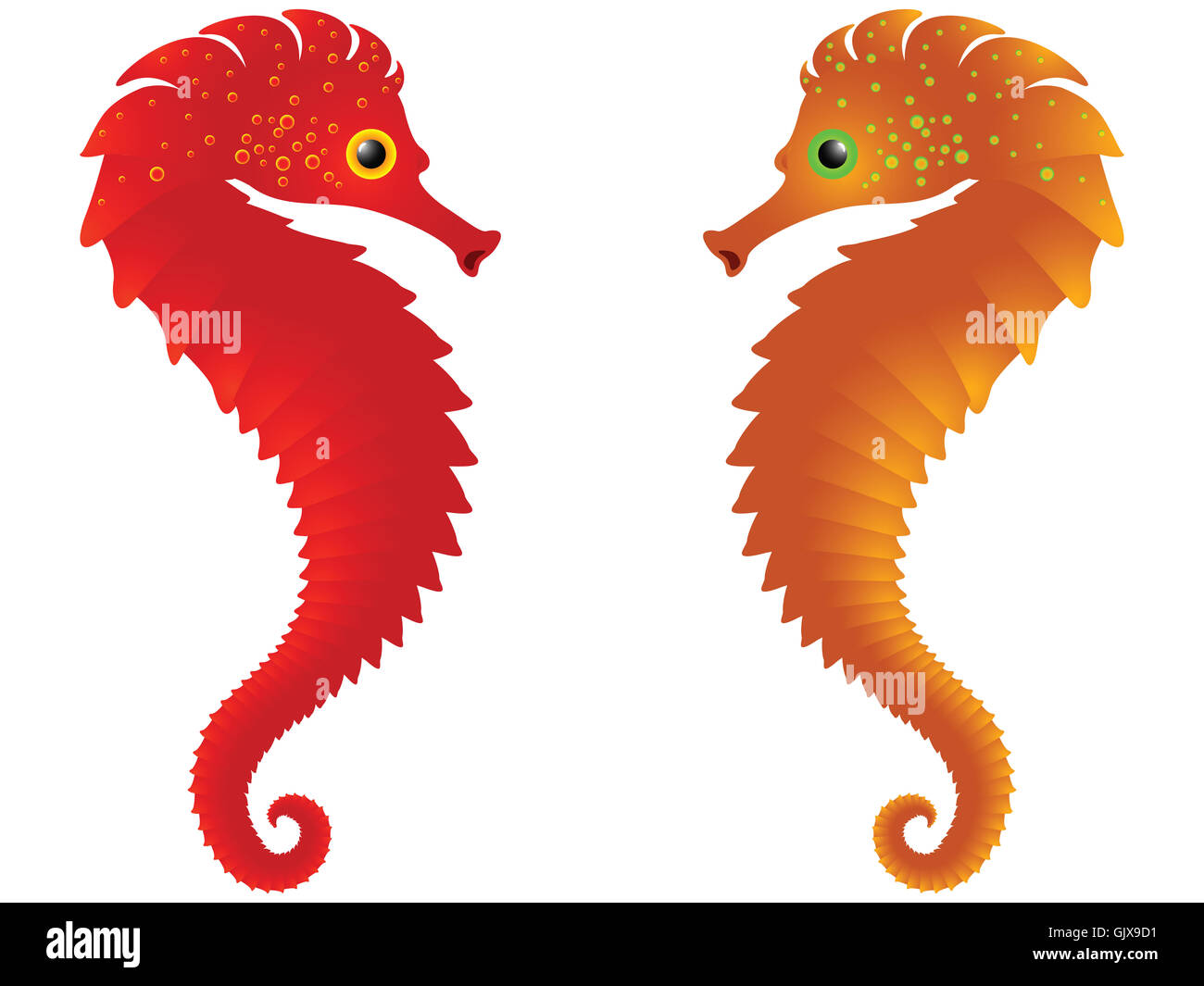 Mare cavalli contro white Foto Stock