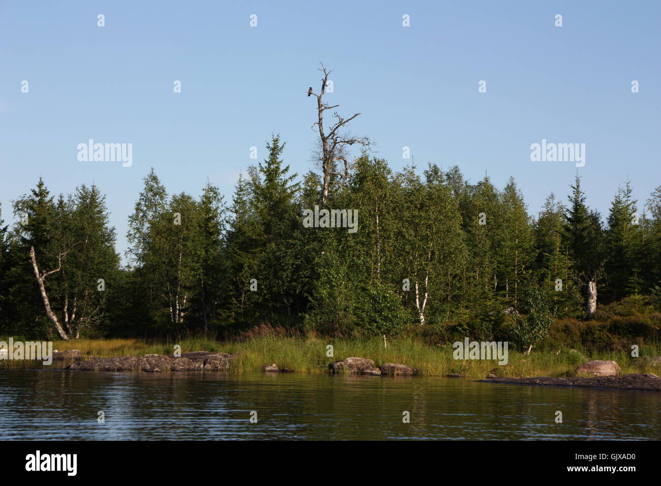 Vista di un lago in Nordmarka Foto Stock