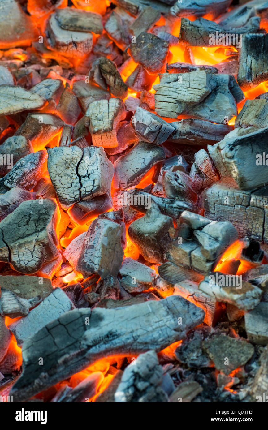 La combustione di carbone. Un tizzone covava nel caminetto Foto Stock