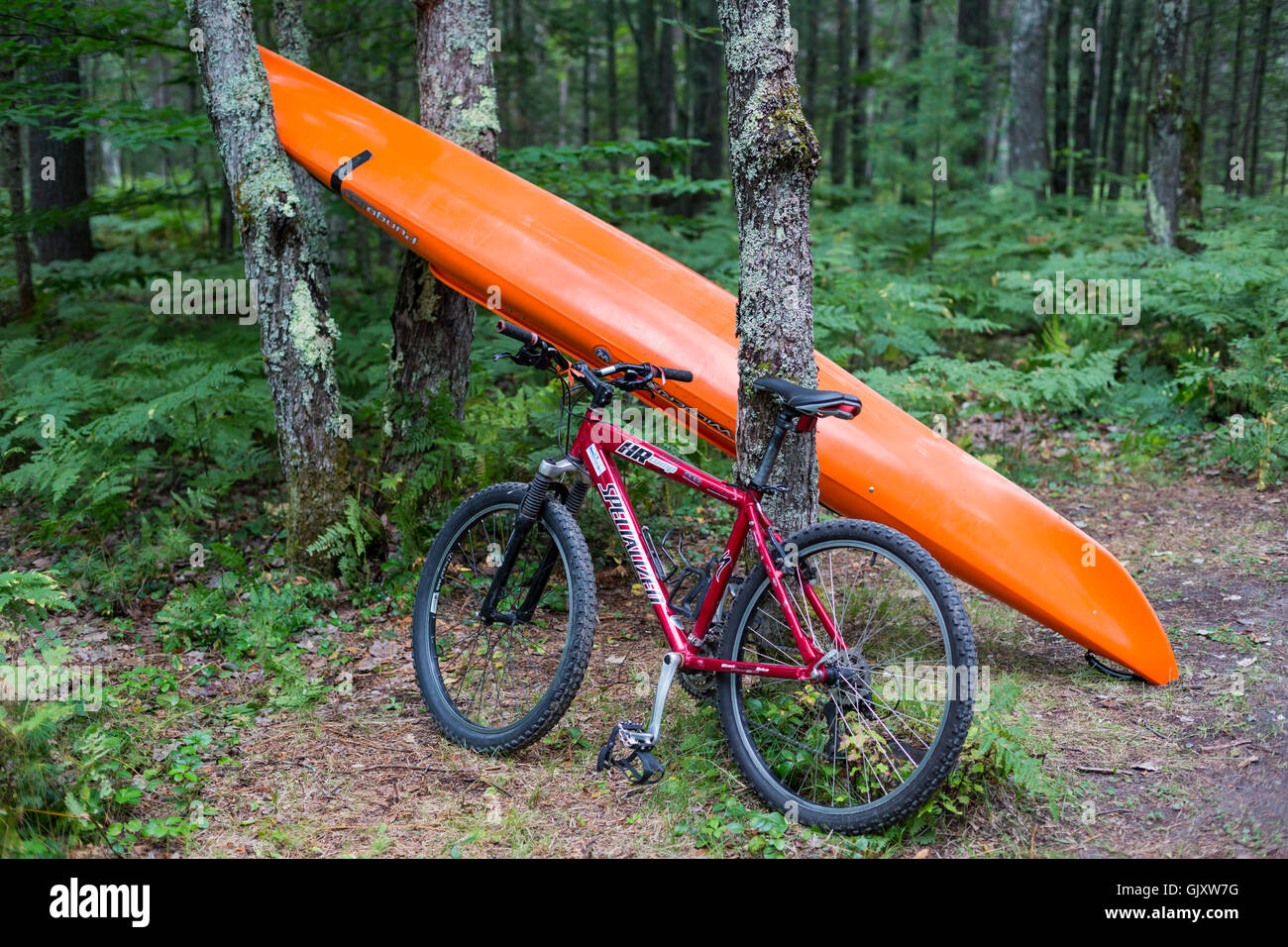 Munising, Michigan - attività ricreative all'aperto l'ingranaggio in un campeggio di Hiawatha National Forest. Foto Stock