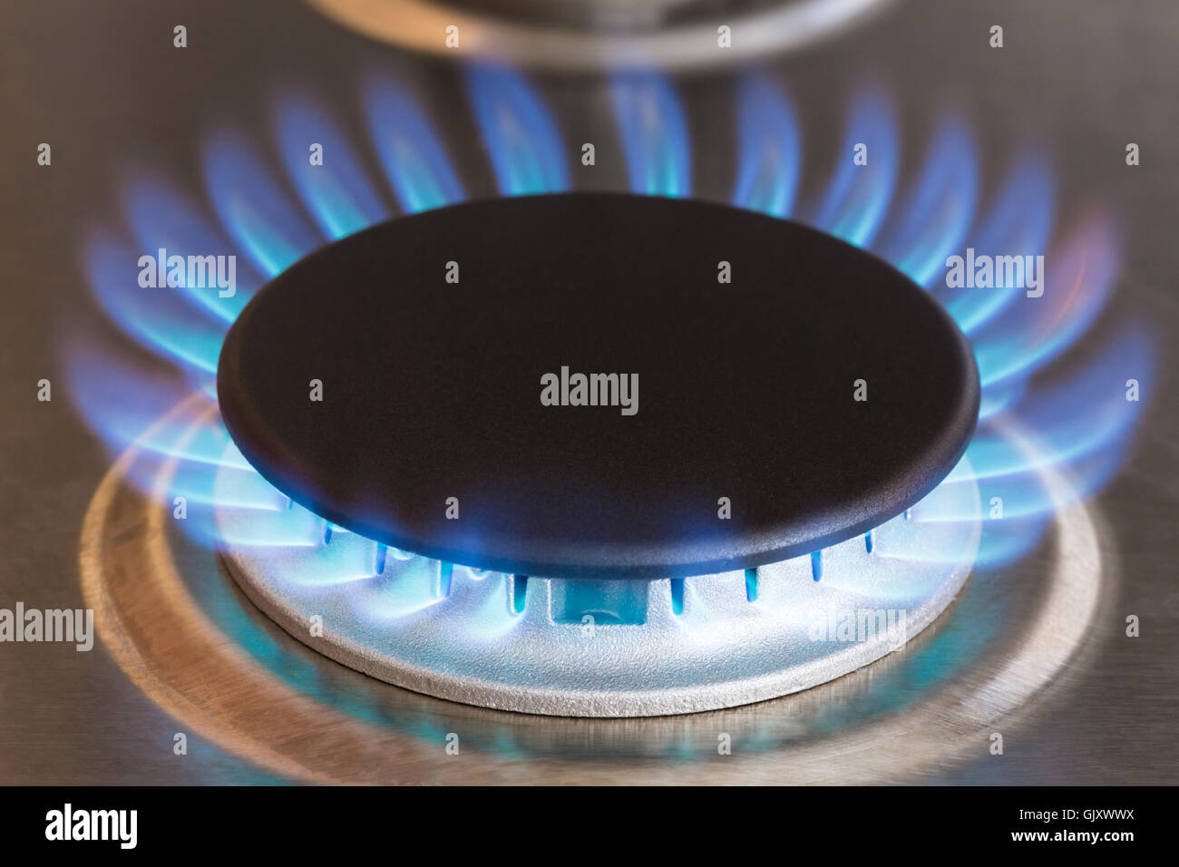 Close-up di blue flames dal gas naturale elemento di cottura sul fornello da cucina Foto Stock
