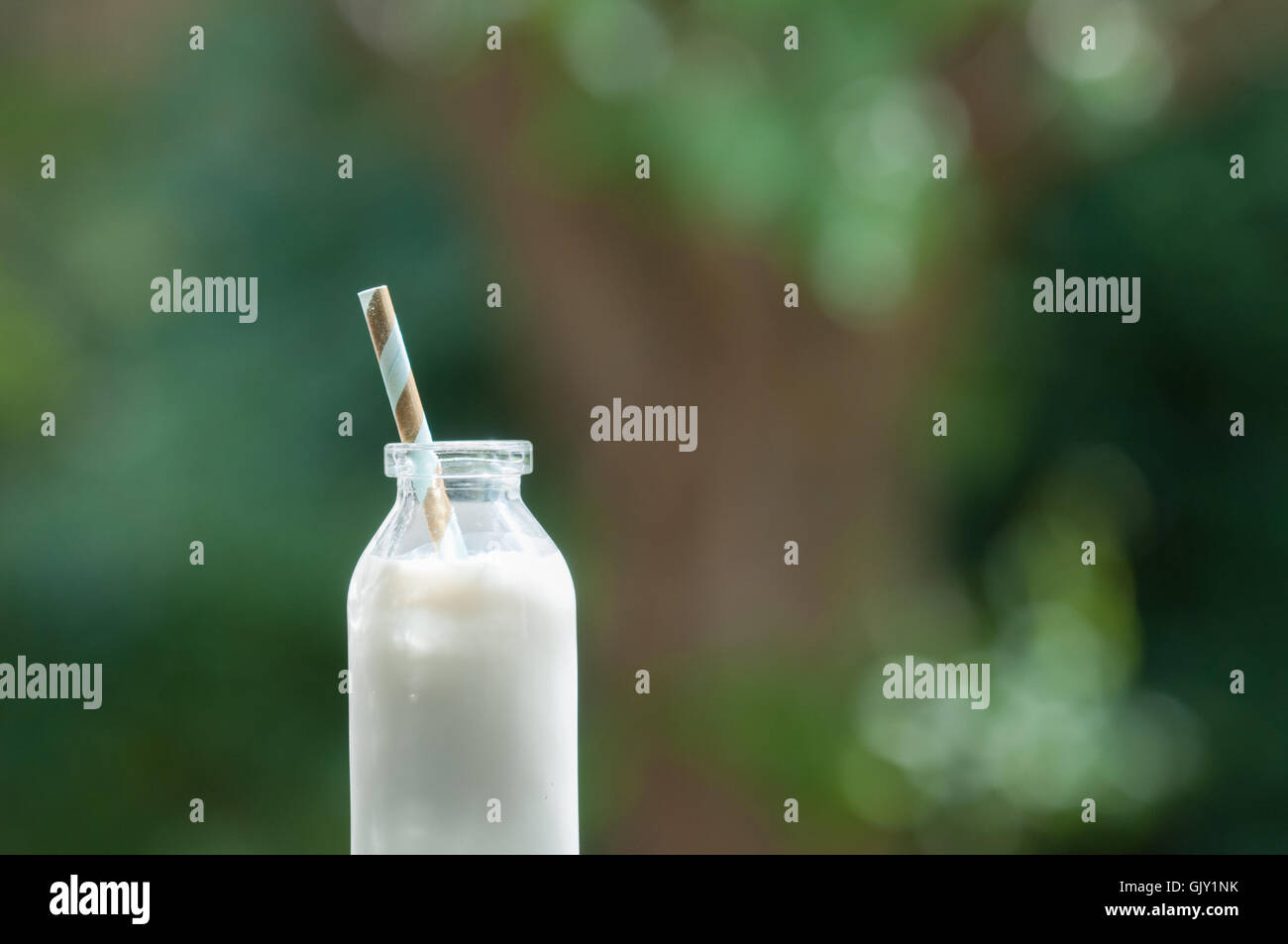 Bottiglia di latte sul naturale sfondo all'aperto Foto Stock