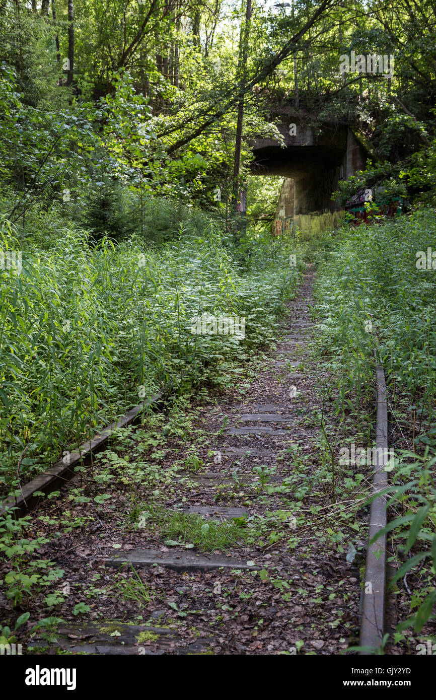 Vecchio e obsoleto ferrovia via e tunnel ad una foresta in Finlandia in estate. Foto Stock