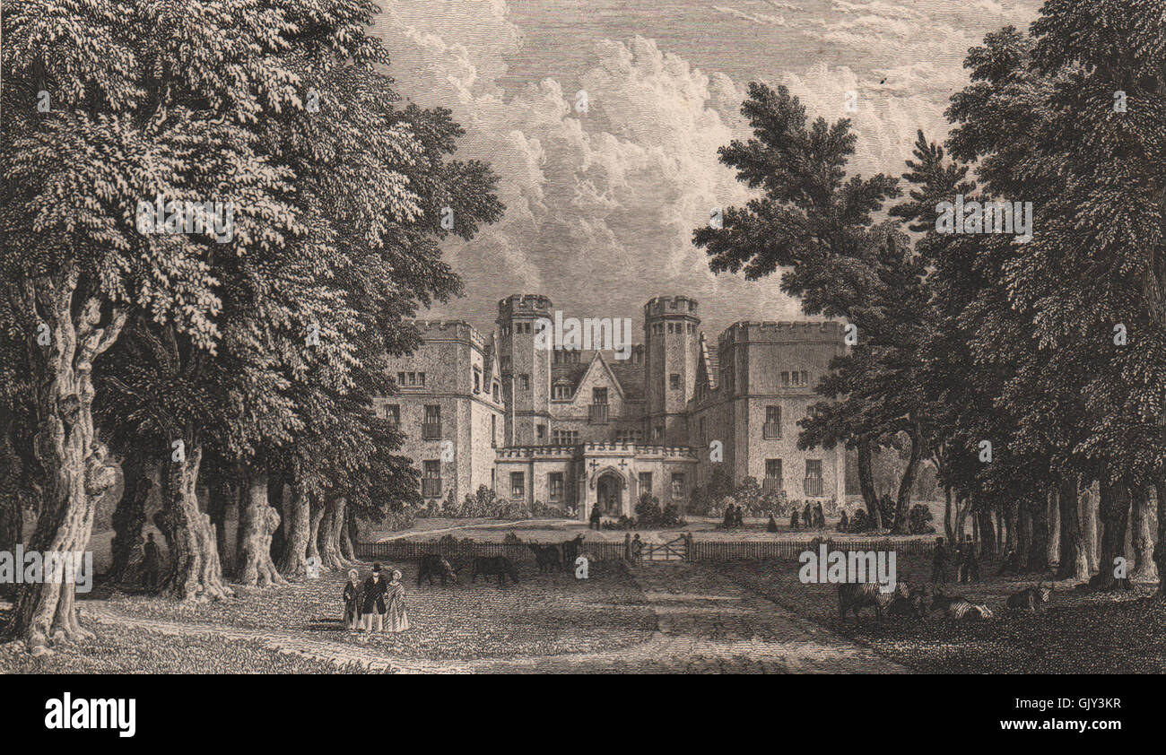 SOUTHAMPTON Grove luogo Manicomio.la Regina Elisabetta caccia sedile.BRANNON 1853 Foto Stock