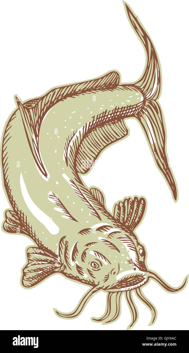 Catfish fango Cat attacco immersioni Illustrazione Vettoriale