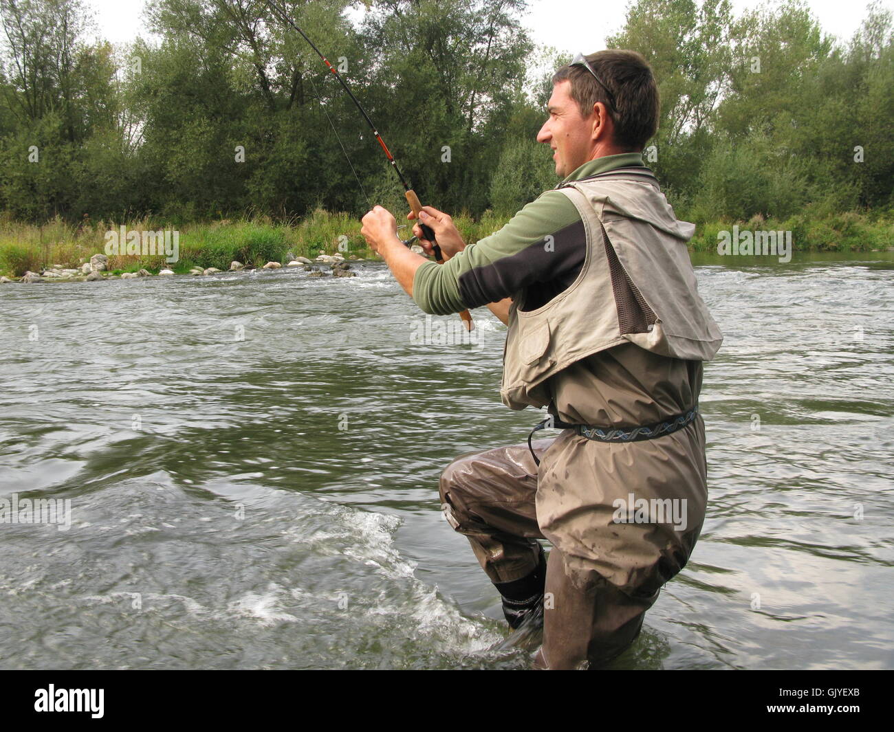 Cibo aliment macro Foto Stock