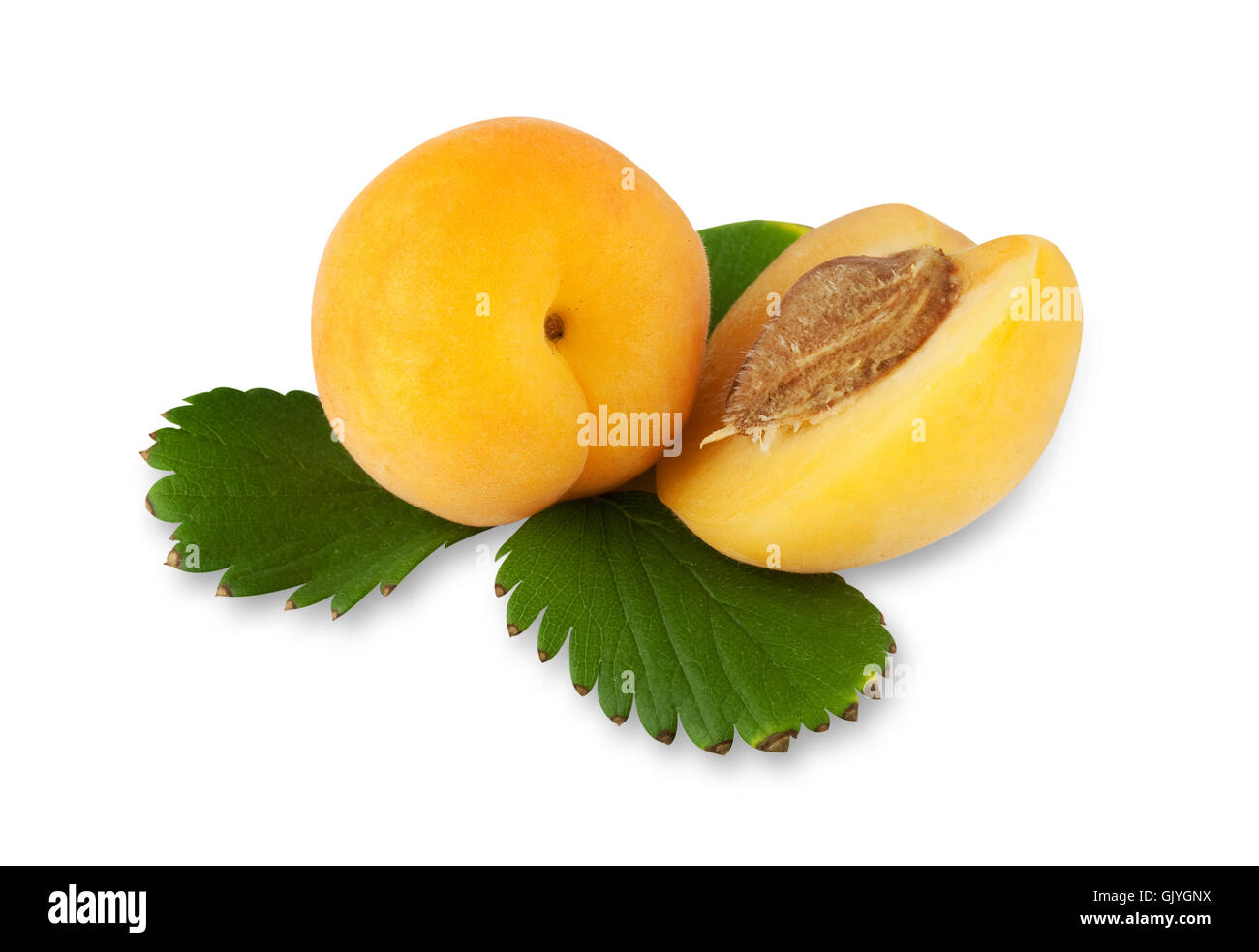 Frutta albicocche orange Foto Stock