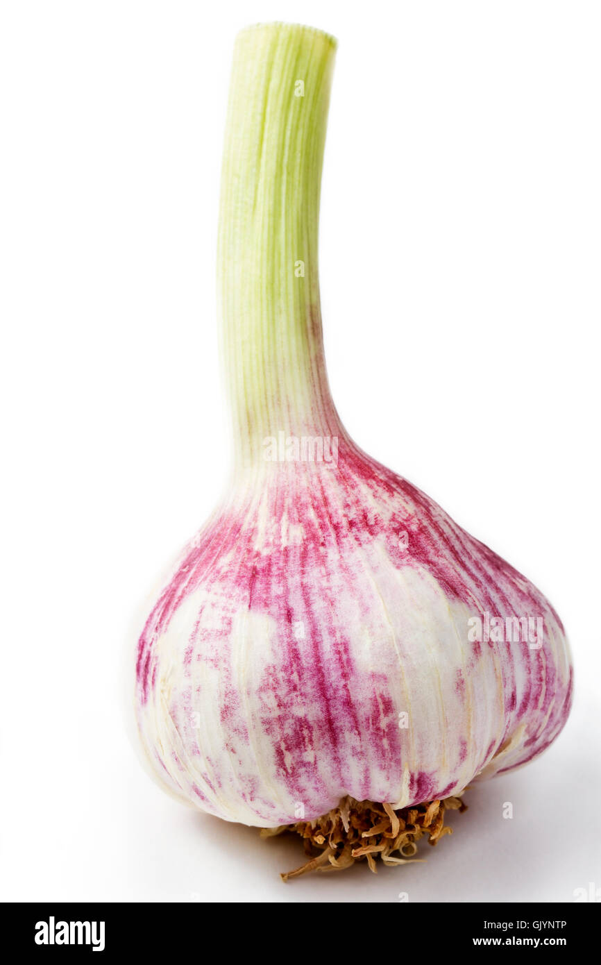 Viola di tubero di aglio Foto Stock