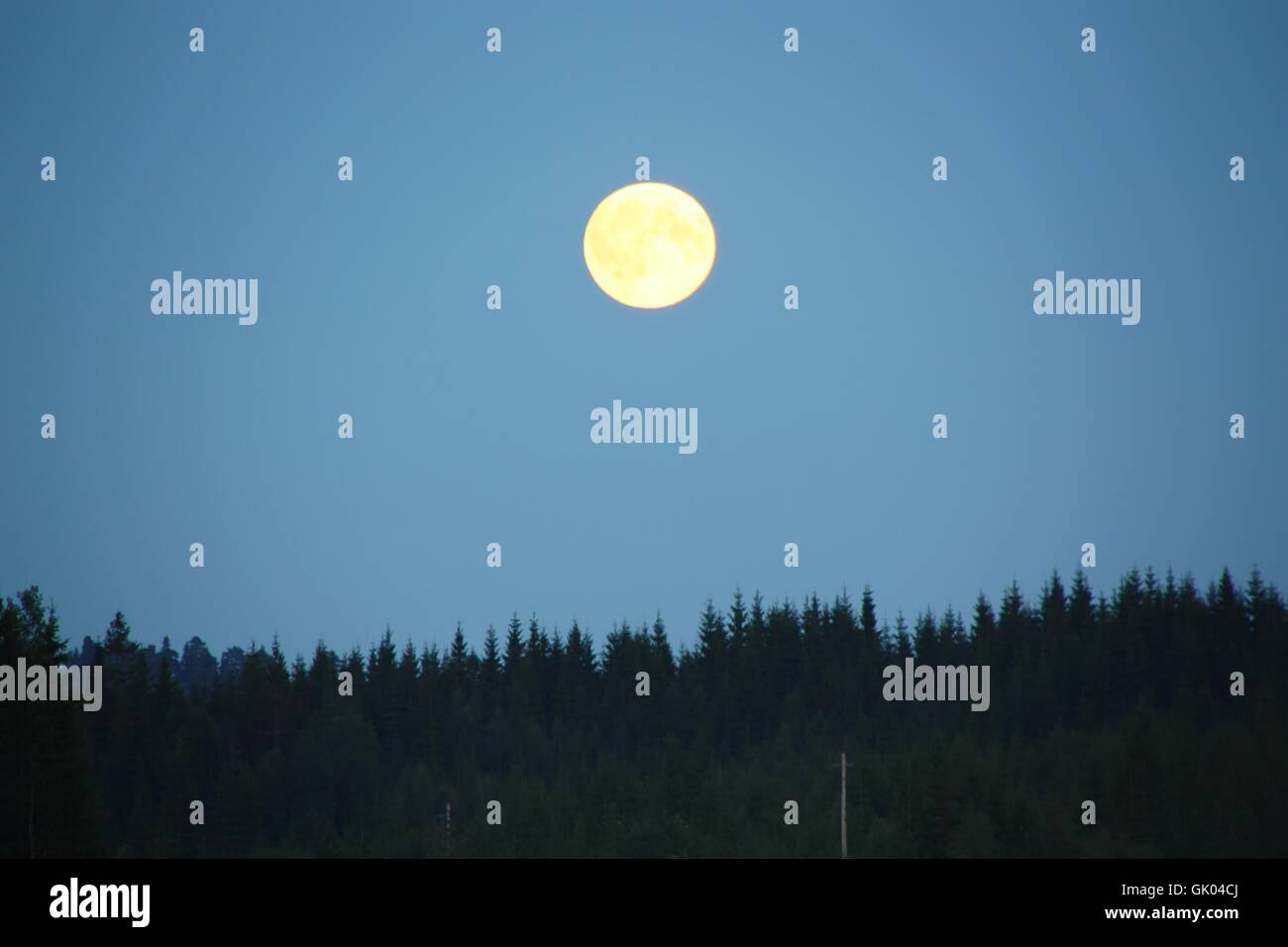 Vista di Nordmarka con la luna piena. Foto Stock