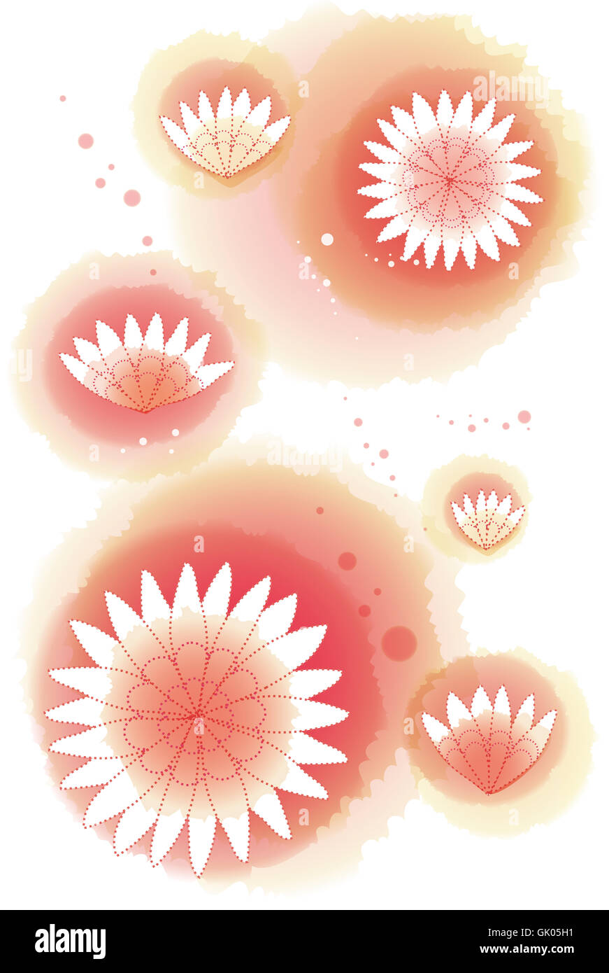 Piante e fiori di lotus Foto Stock