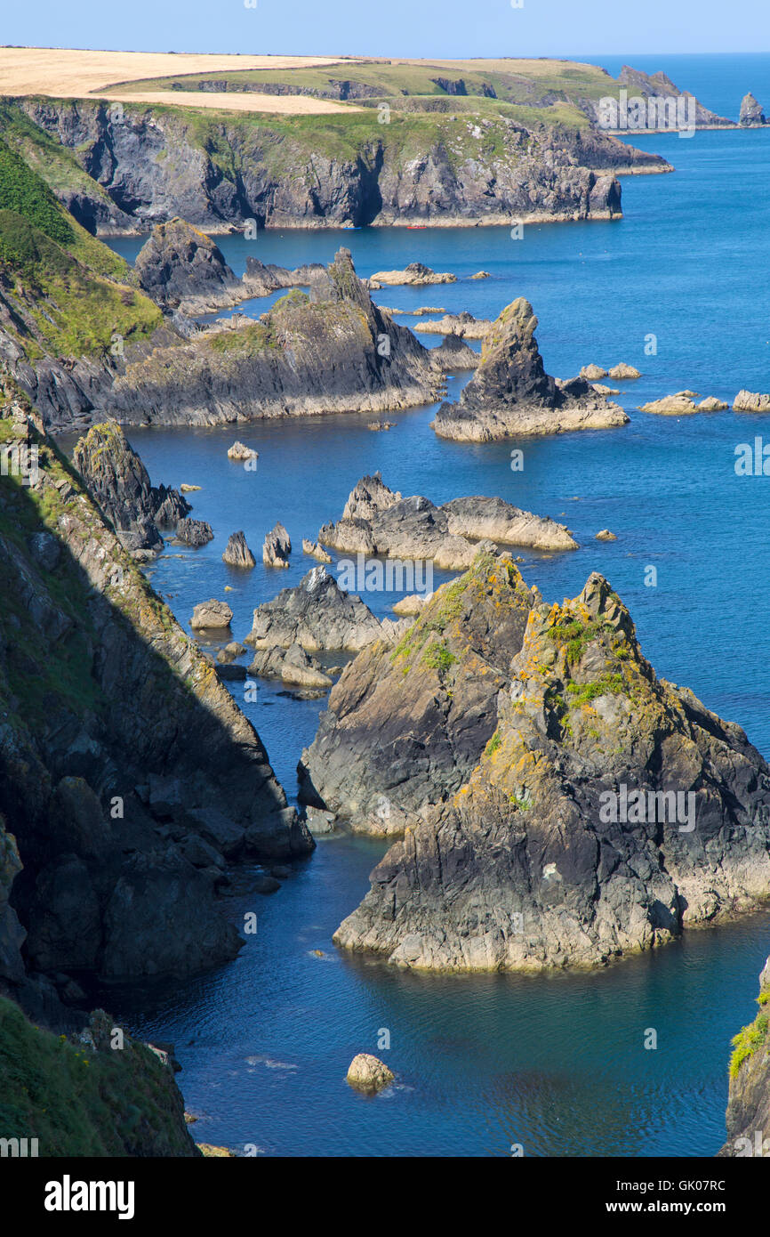 Scogliere sul mare e pile visibile sul Pembrokeshire rivestire percorso nel sud del Galles occidentale. Foto Stock