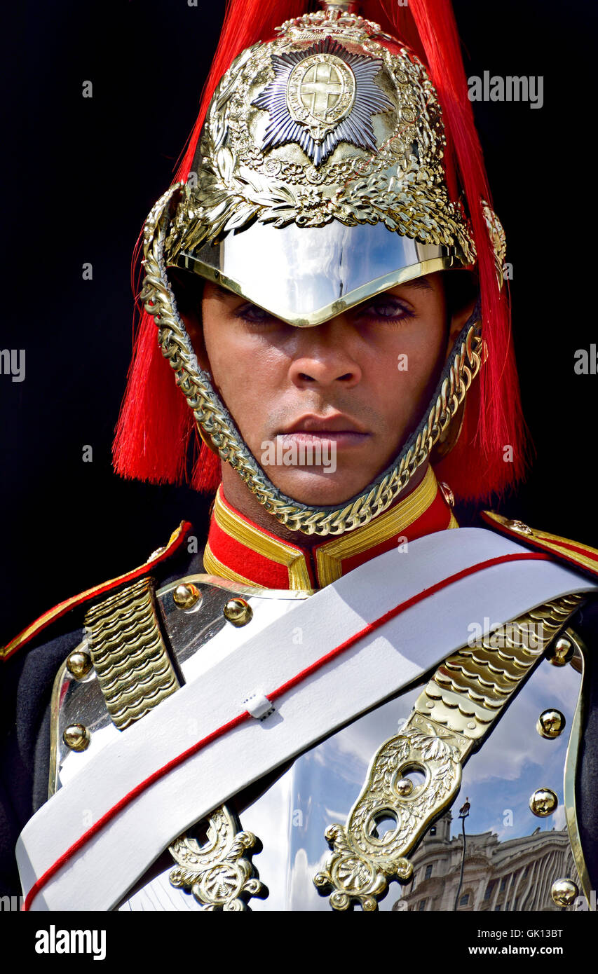 Londra Inghilterra, Regno Unito. Cavalleria per uso domestico - membro del Blues e Royals in servizio presso la sfilata delle Guardie a Cavallo Foto Stock