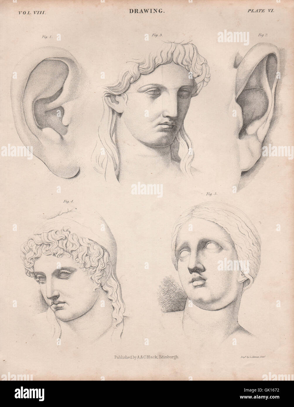 Disegno figurativo. Faccia le orecchie. La britannica, antica stampa 1860 Foto Stock