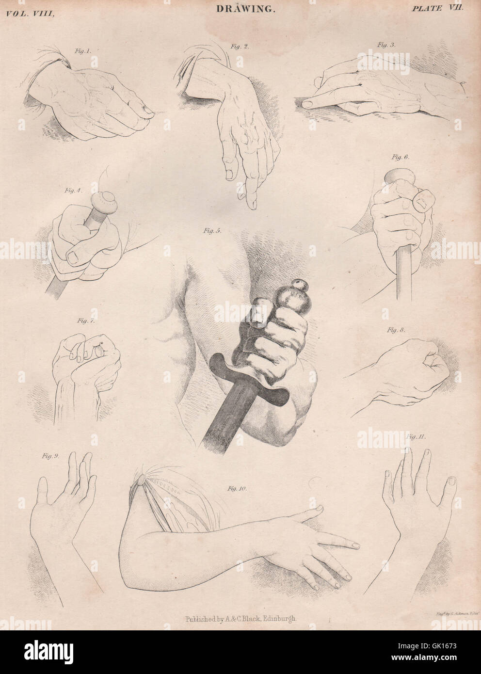 Disegno figurativo. Le mani. La britannica, antica stampa 1860 Foto Stock