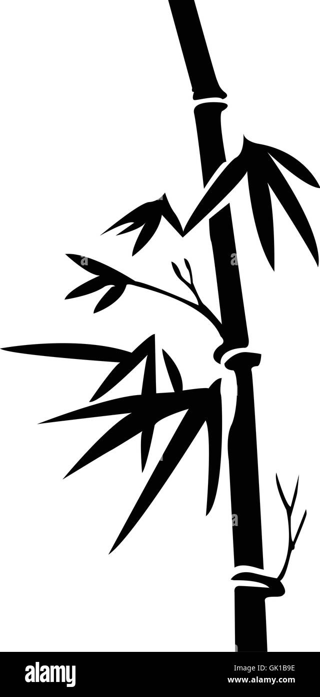 Bambù Illustrazione Vettoriale