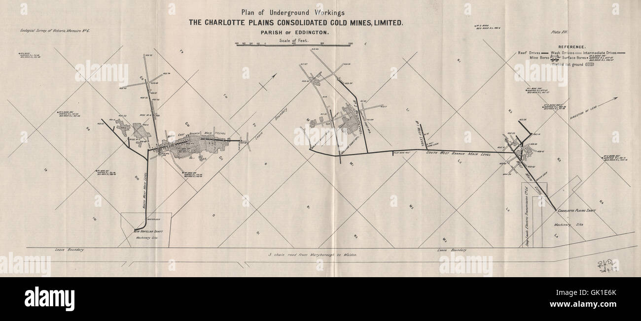Charlotte pianure consolidato miniere d'oro, Eddington. Victoria Australia 1909 mappa Foto Stock