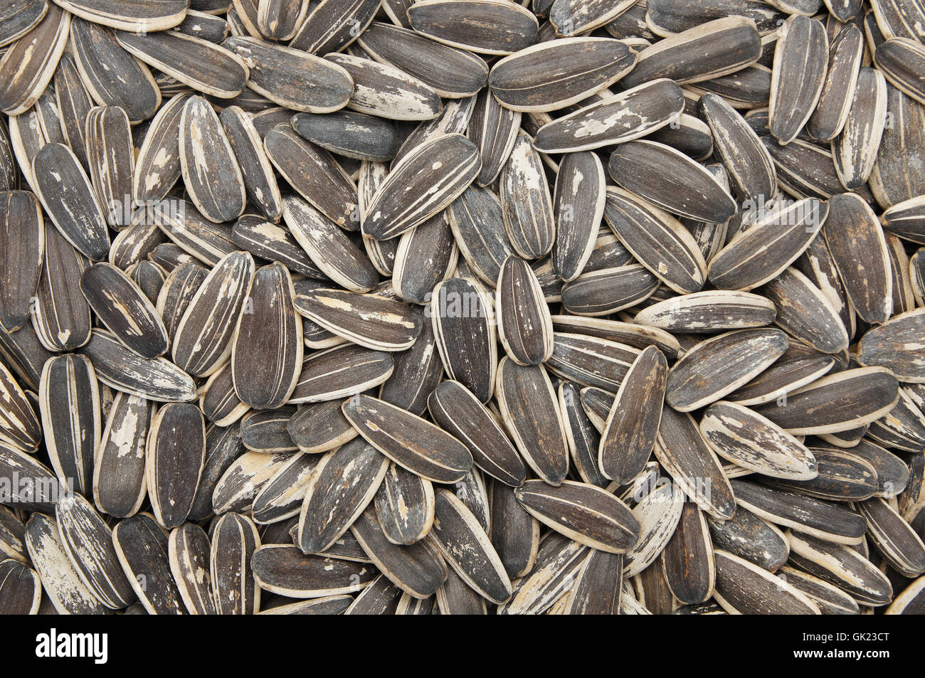 Close-up e dettaglio di semi di girasole di sfondo Foto Stock