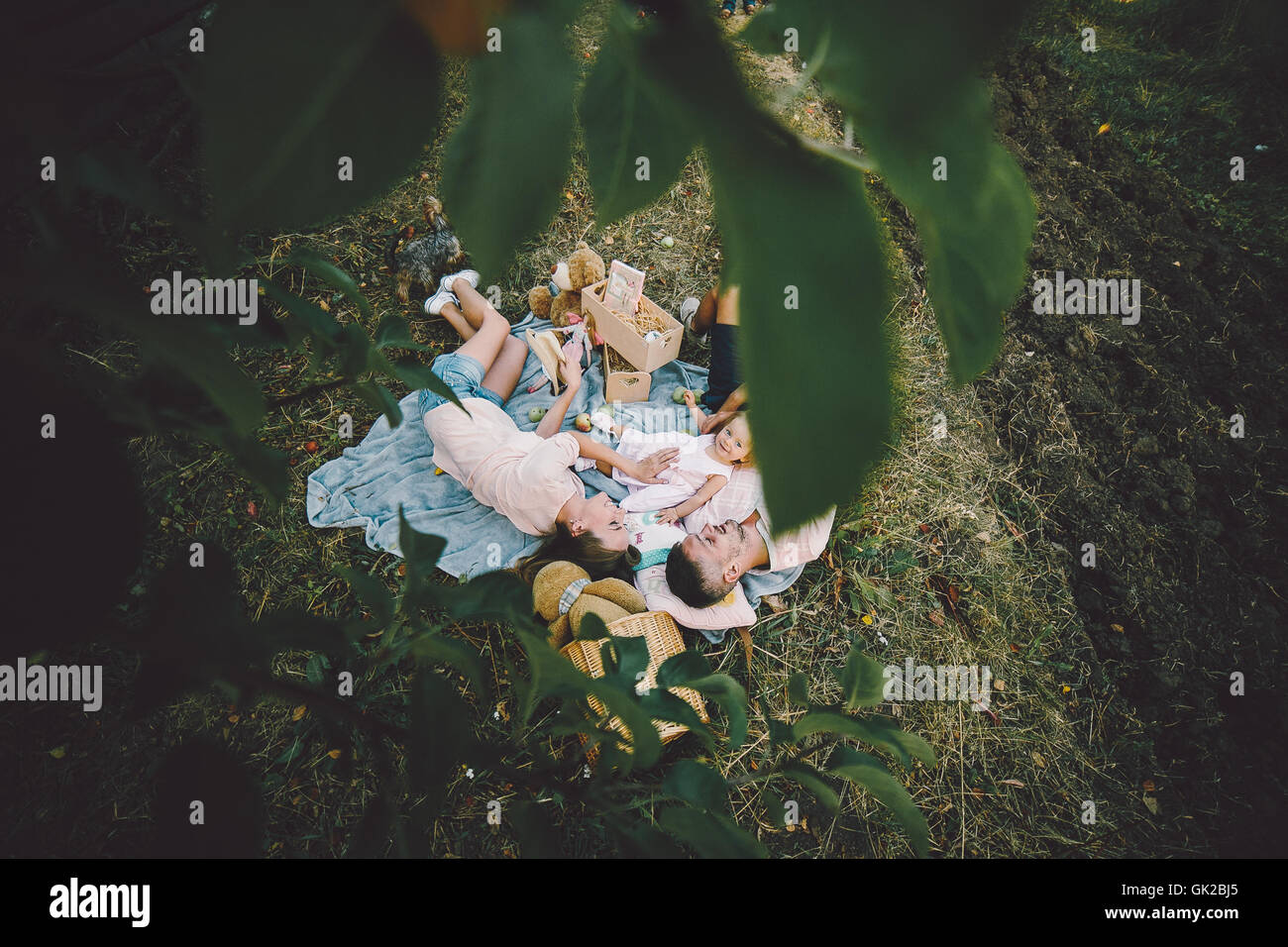 La famiglia felice sul prato nel parco Foto Stock