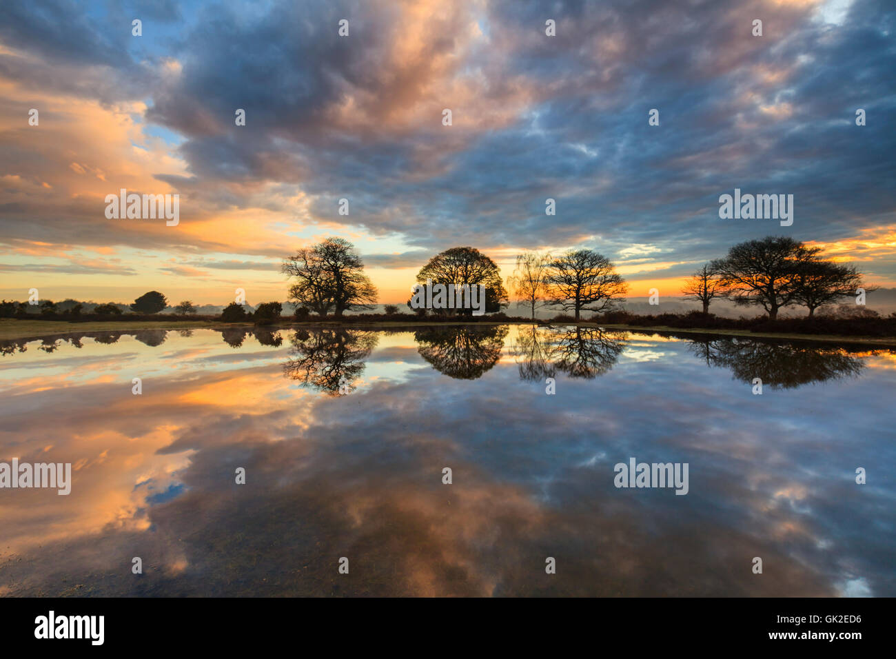 Mogshade Hill pond nel nuovo Parco Nazionale Foreste. Foto Stock