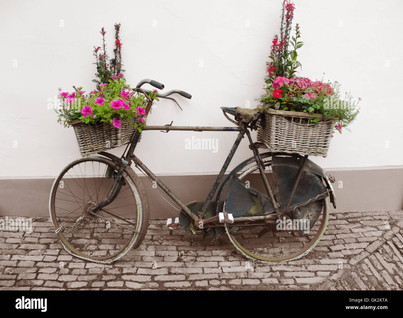 Fiore fiori impianto Foto Stock
