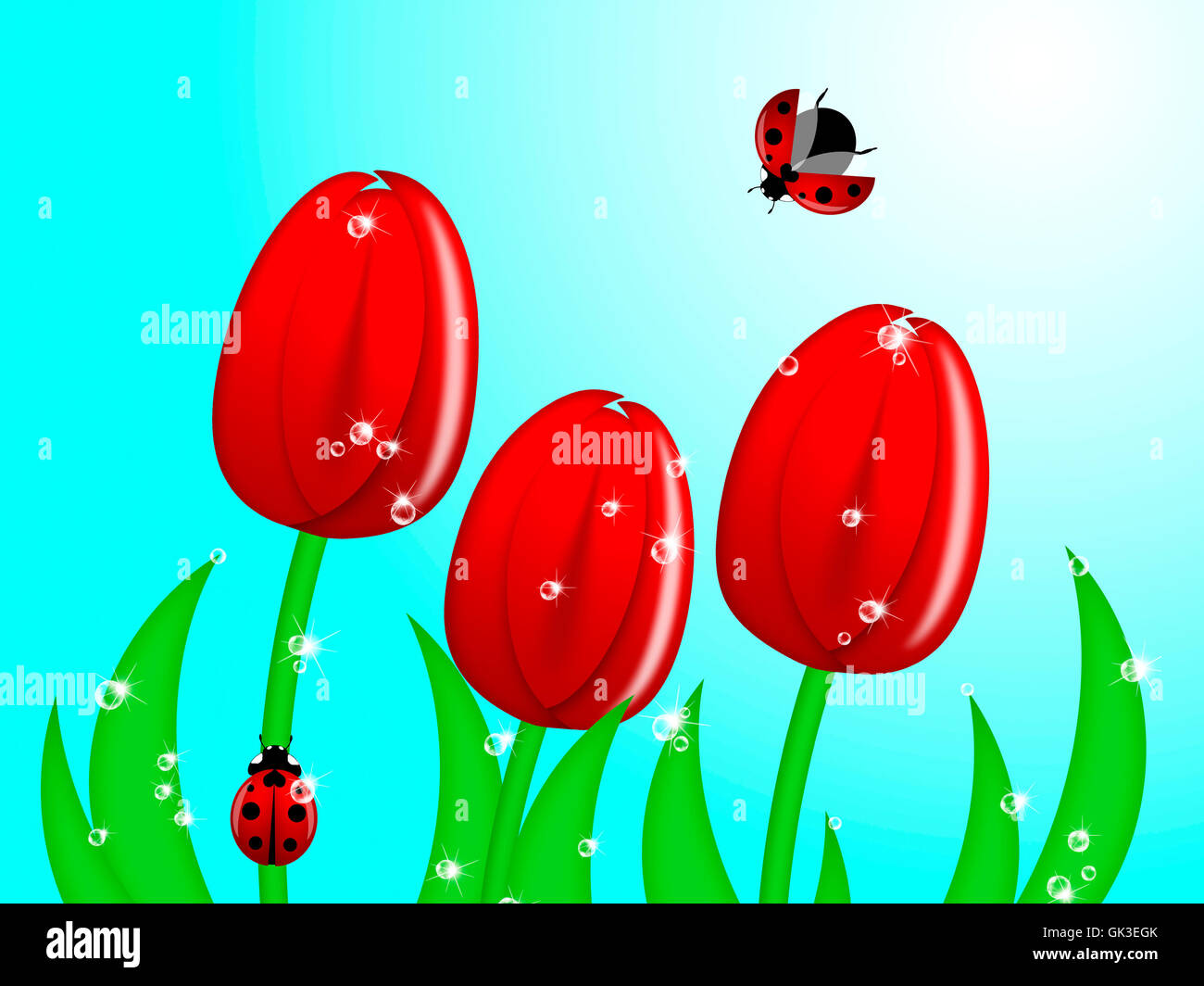 Piante e fiori tulipani Foto Stock