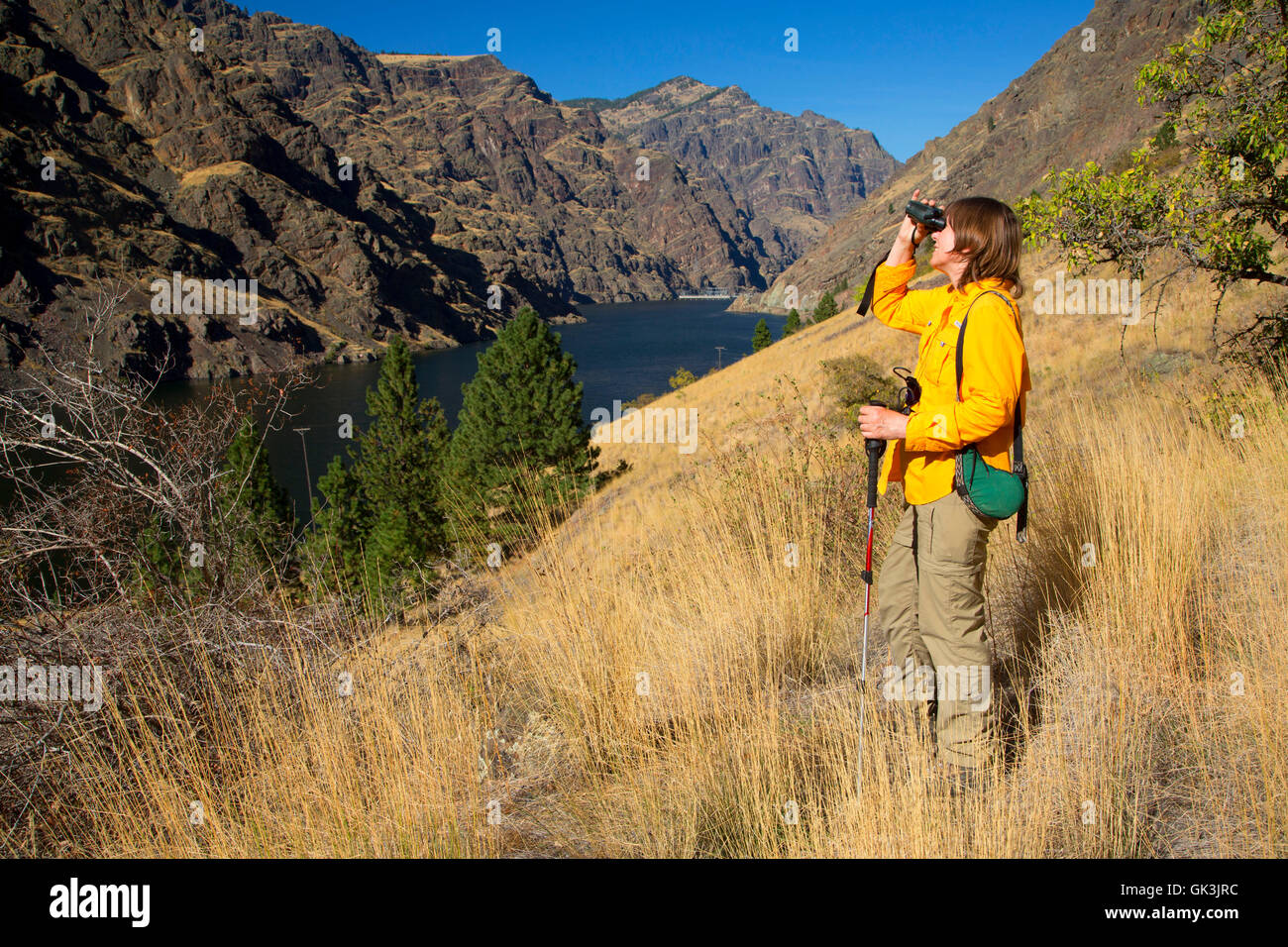 Deep Creek Trail, Hells Canyon sette demoni Scenic Area, Hells Canyon Scenic Byway, Payette National Forest, Idaho Foto Stock
