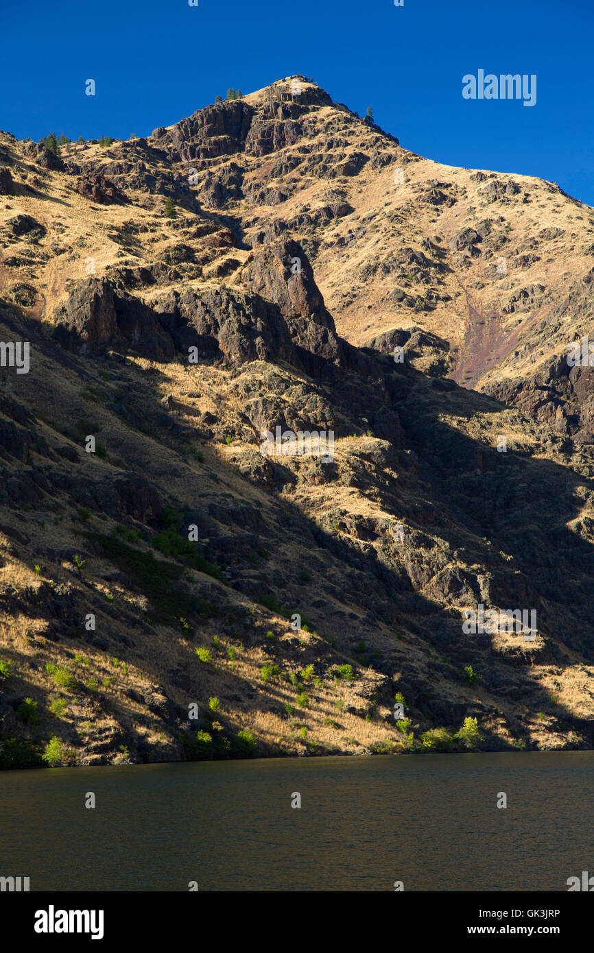 Hells Canyon serbatoio dal Deep Creek Trail, Hells Canyon sette demoni Scenic Area, Payette National Forest, Idaho Foto Stock