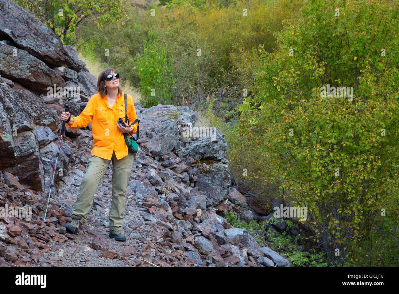Kinney Creek Trail, Hells Canyon sette demoni Scenic Area, Hells Canyon Scenic Byway, Payette National Forest, Idaho Foto Stock