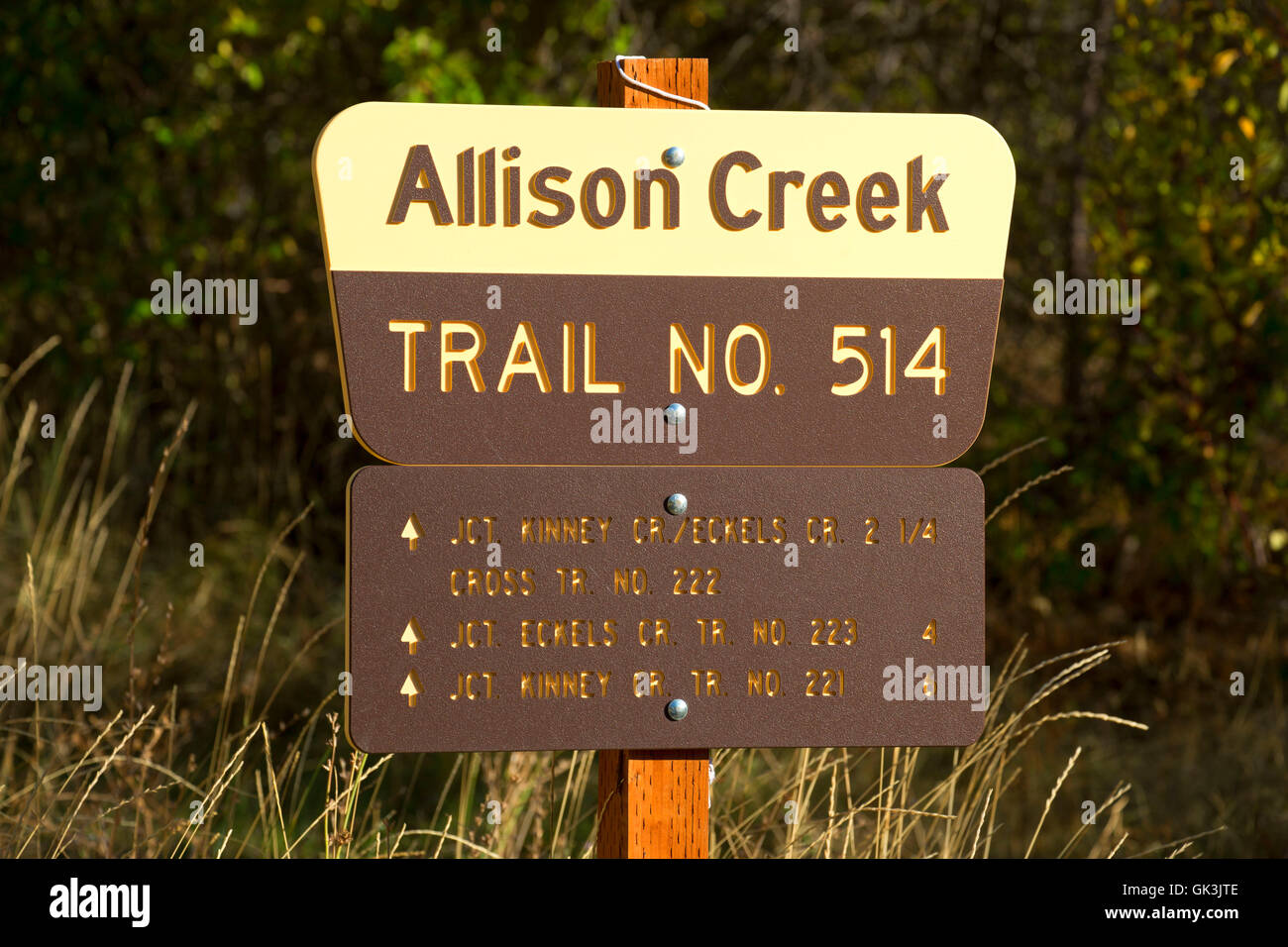 Allison Creek Trail segno, Hells Canyon sette demoni Scenic Area, Hells Canyon Scenic Byway, Payette National Forest, Idaho Foto Stock