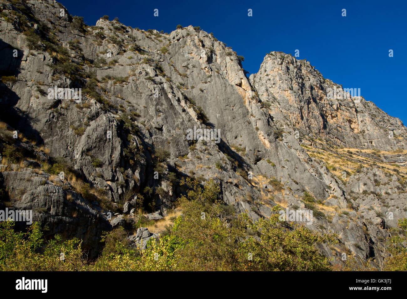 Canyon lungo Allison Creek Trail, Hells Canyon sette demoni Scenic Area, Payette National Forest, Idaho Foto Stock