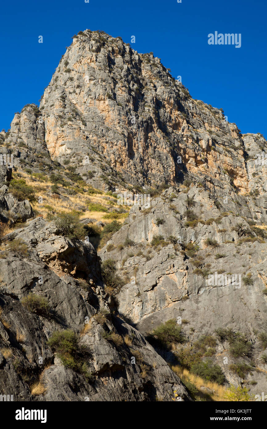 Canyon lungo Allison Creek Trail, Hells Canyon sette demoni Scenic Area, Payette National Forest, Idaho Foto Stock
