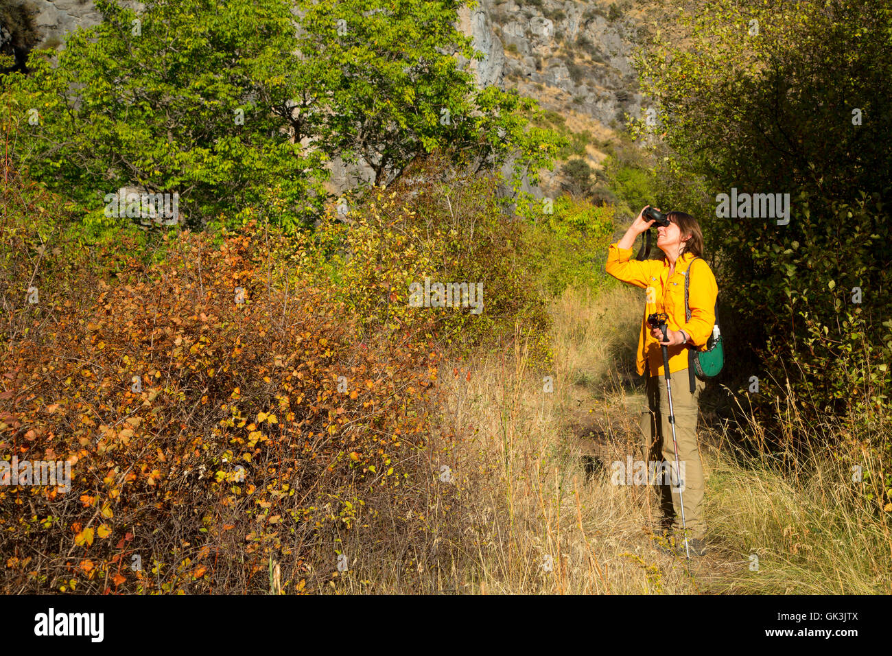 Escursionista in canyon lungo Allison Creek Trail, Hells Canyon sette demoni Scenic Area, Payette National Forest, Idaho Foto Stock