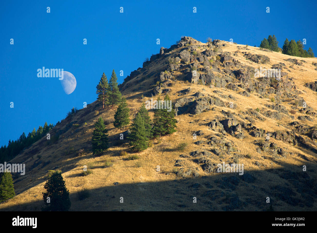 Ore del sorgere dal Eckels Creek Trail, Hells Canyon sette demoni Scenic Area, Payette National Forest, Idaho Foto Stock