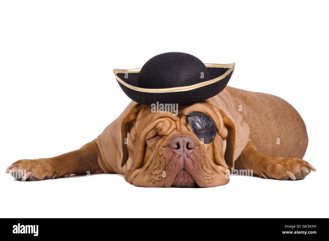 Cultura vacanza isolato Foto Stock