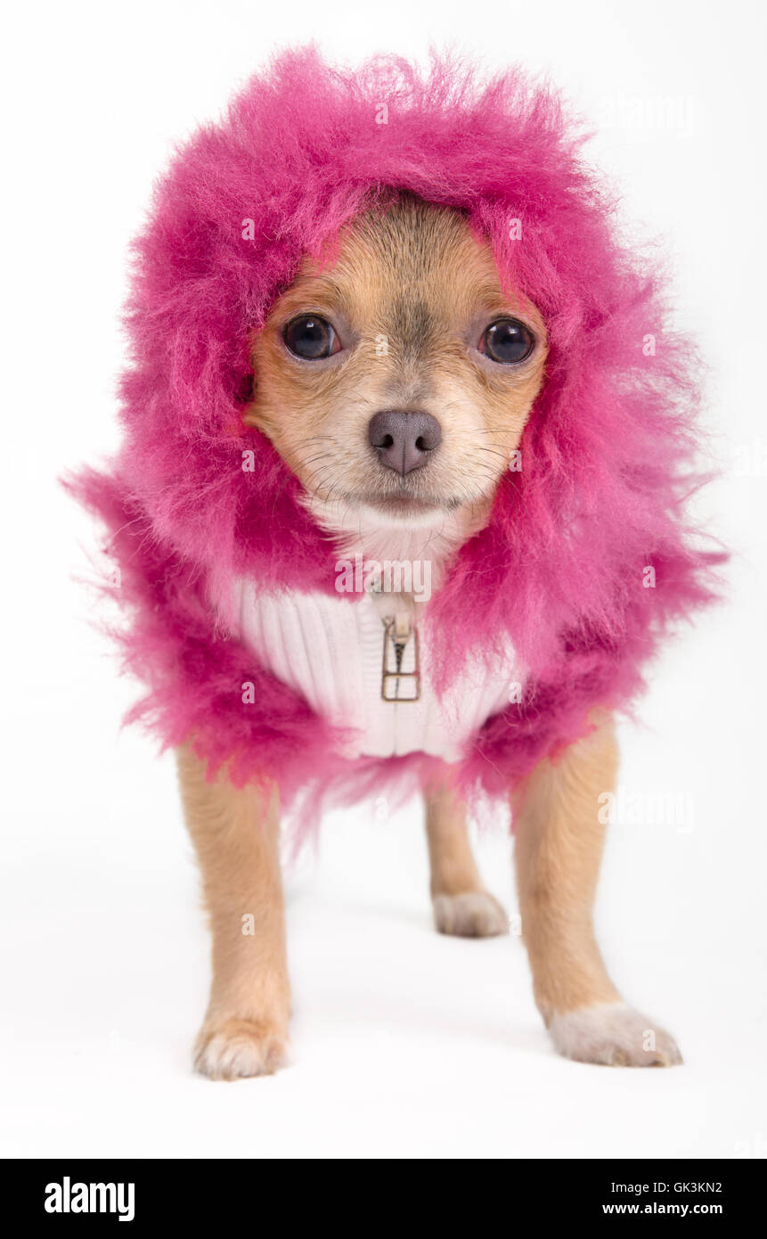 Isolato moda inverno Foto Stock