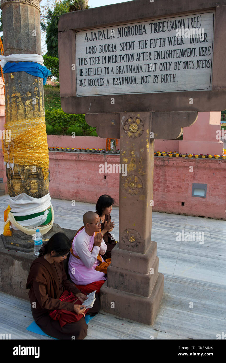 08 Mar 2012, India centrosettentrionale, India --- del tempio di Mahabodhi, Bodh Gaya, Bihar, in India --- Image by © Jeremy Horner Foto Stock