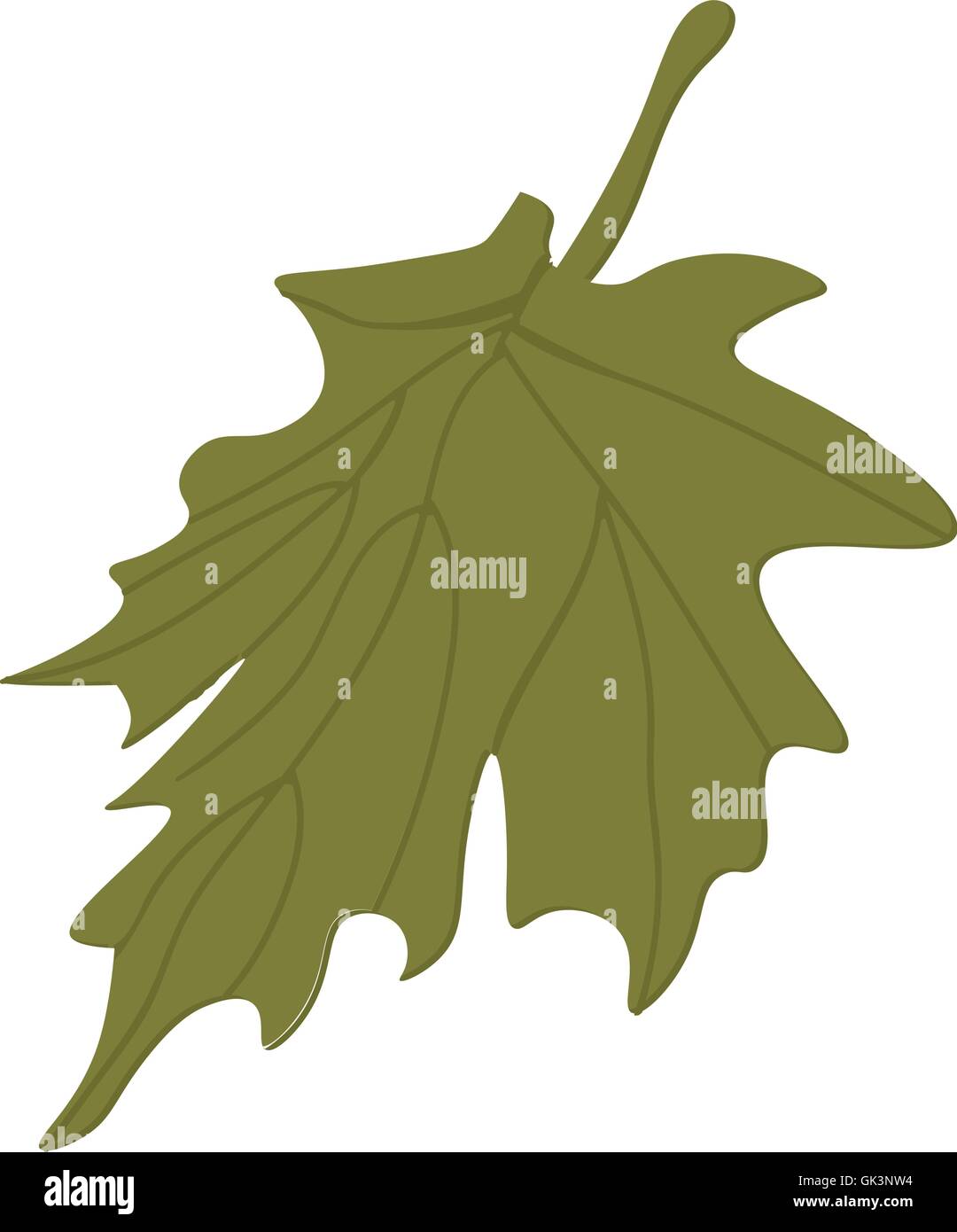 Maple Leaf vettore. Foglie di autunno. Foglie di albero vettore. Foglia caduta isolato. Illustrazione Vettoriale