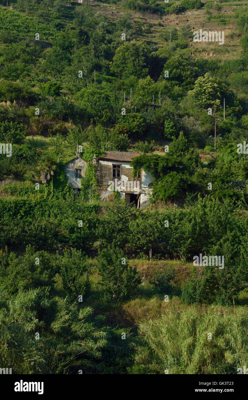 Vecchia casa abbandonata sulla valle del Douro. Portogallo Foto Stock