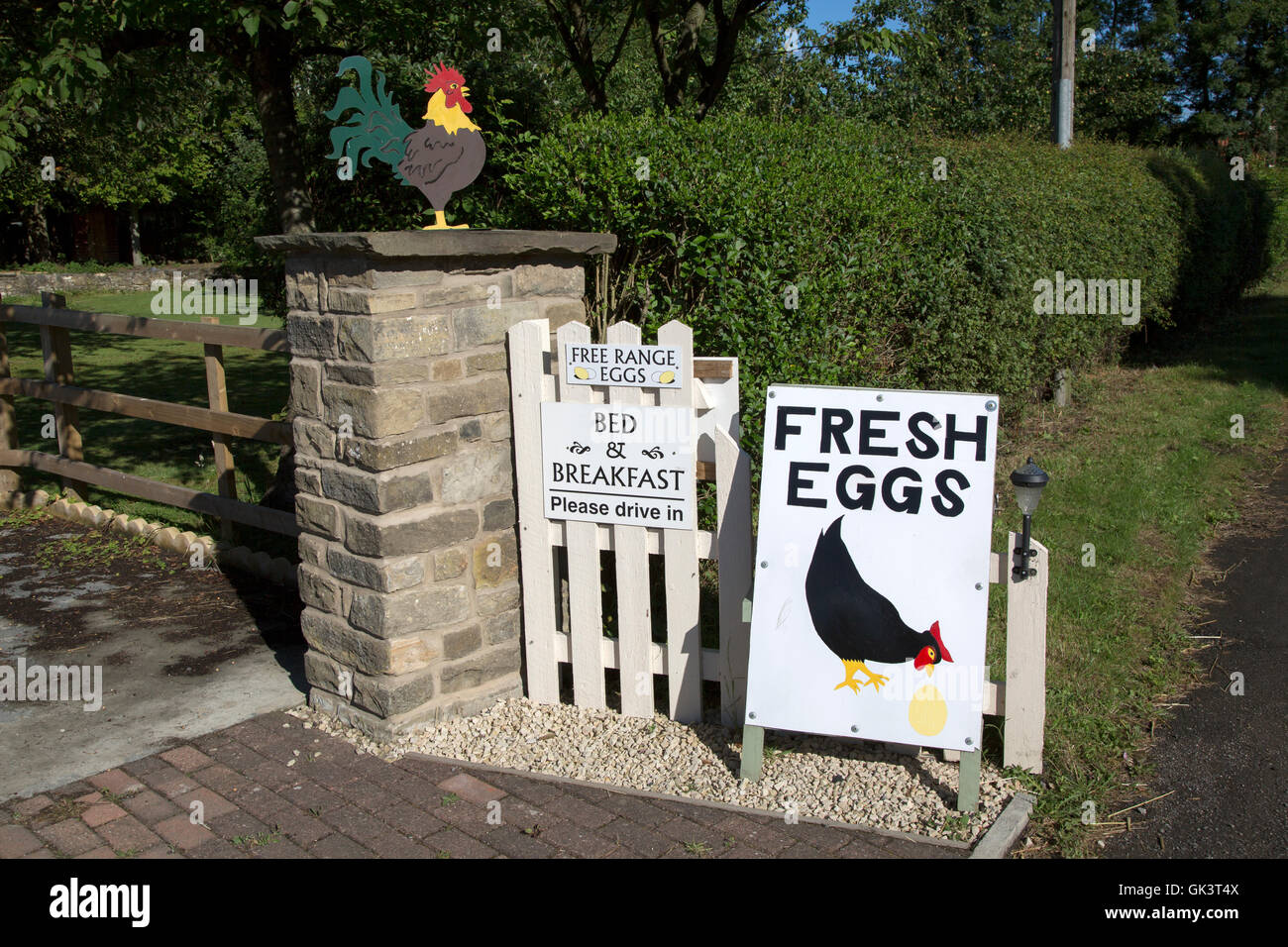 Free Range uovo e Bed and Breakfast segno sulla recinzione nello Yorkshire, Inghilterra, Regno Unito Foto Stock