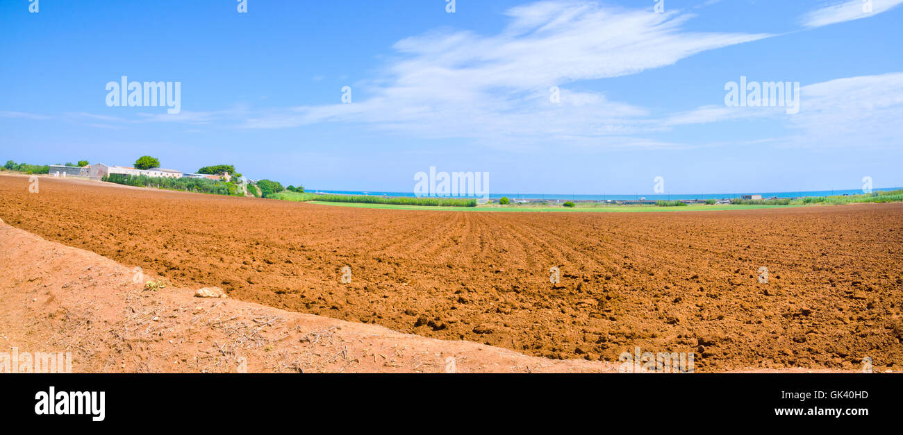 Campo coltivato di tipica terra rossa di Puglia o "Terra Rossa di Puglia' in Italia Foto Stock