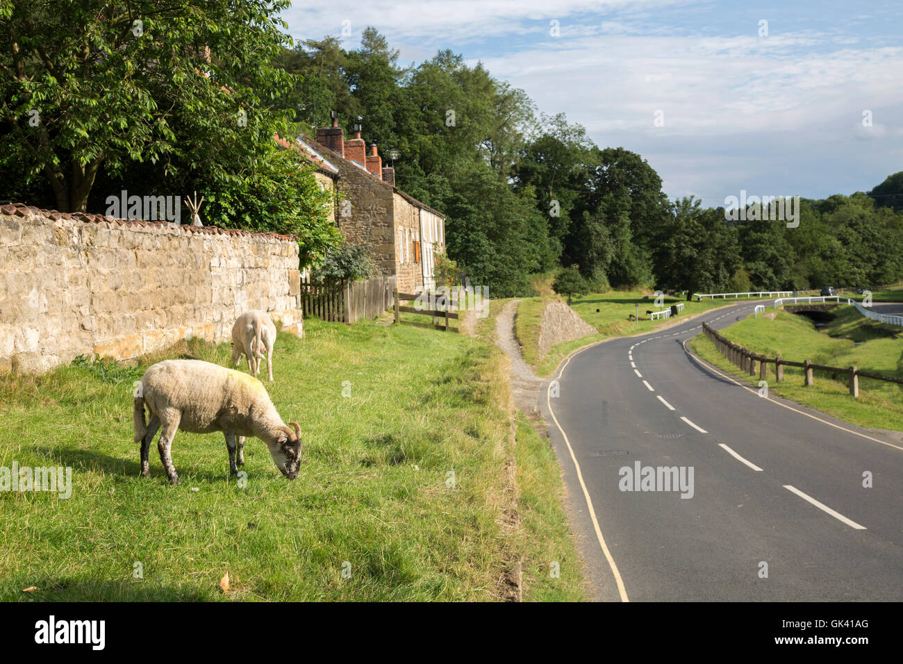 La strada attraverso Hutton Le Hole Village, North York Moors, nello Yorkshire, Inghilterra, Regno Unito Foto Stock