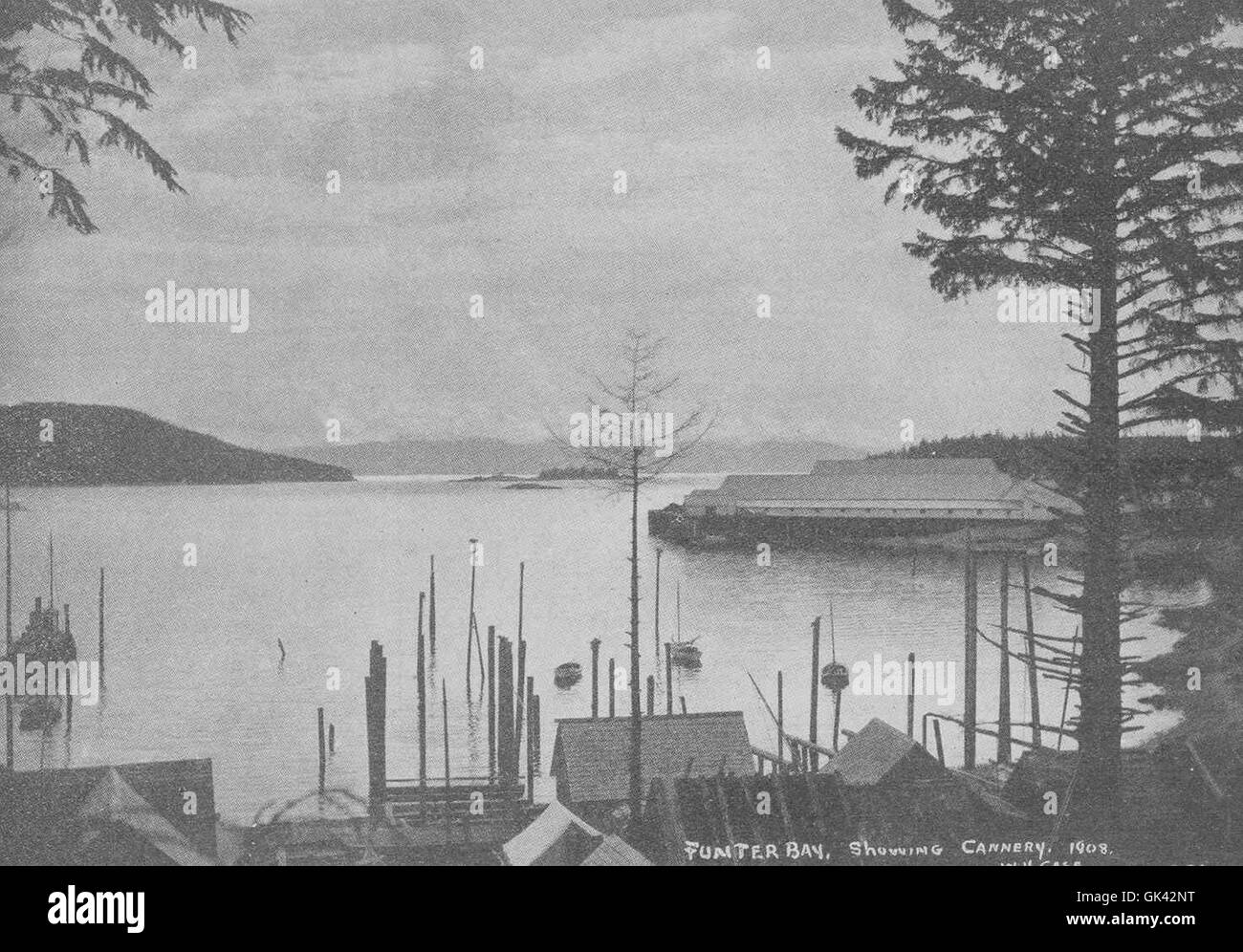 La Cannery of the Thlinket Packing Company a Funter Bay, Alaska, è un esempio di infrastrutture per l'industria della pesca all'inizio del XX secolo. Questa fotografia mostra l'importanza dell'inscatolamento nella pesca commerciale dell'Alaska. Foto Stock