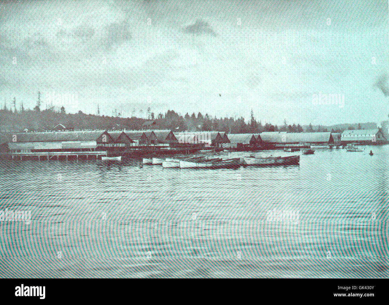 Le salterie di aringhe di Nanaimo, British Columbia, sono fondamentali per l'industria ittica locale. Queste strutture trattano e conservano l'aringa, una risorsa vitale sia per i mercati alimentari che per quelli delle esche. Foto Stock