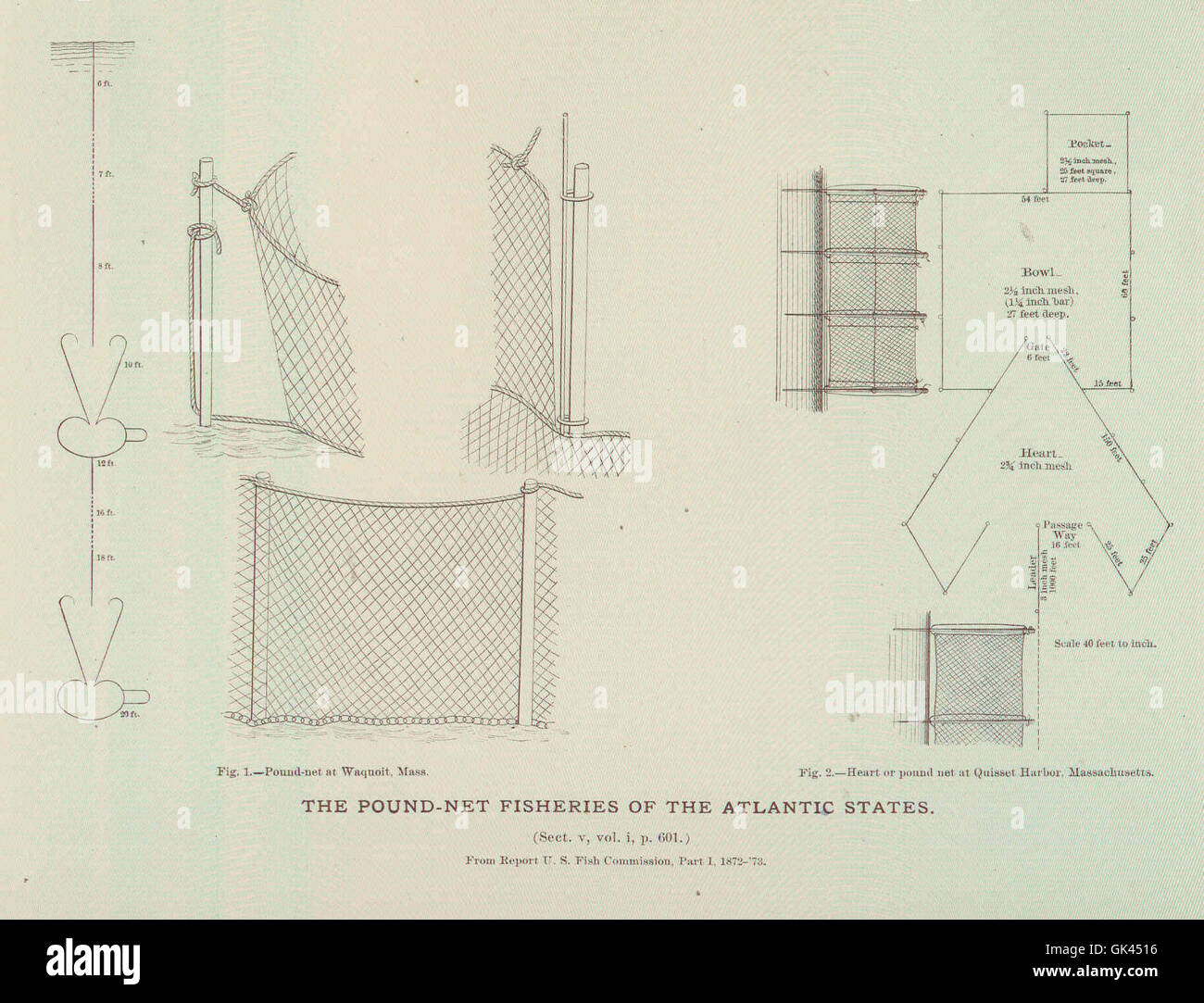 La pesca con reti da sterlina (ID 45956) negli Stati dell'Atlantico è un metodo di pesca tradizionale utilizzato per catturare il pesce, in particolare lungo la costa orientale degli Stati Uniti. Questo metodo prevede l'utilizzo di reti di grandi dimensioni ancorate al fondo marino. Foto Stock