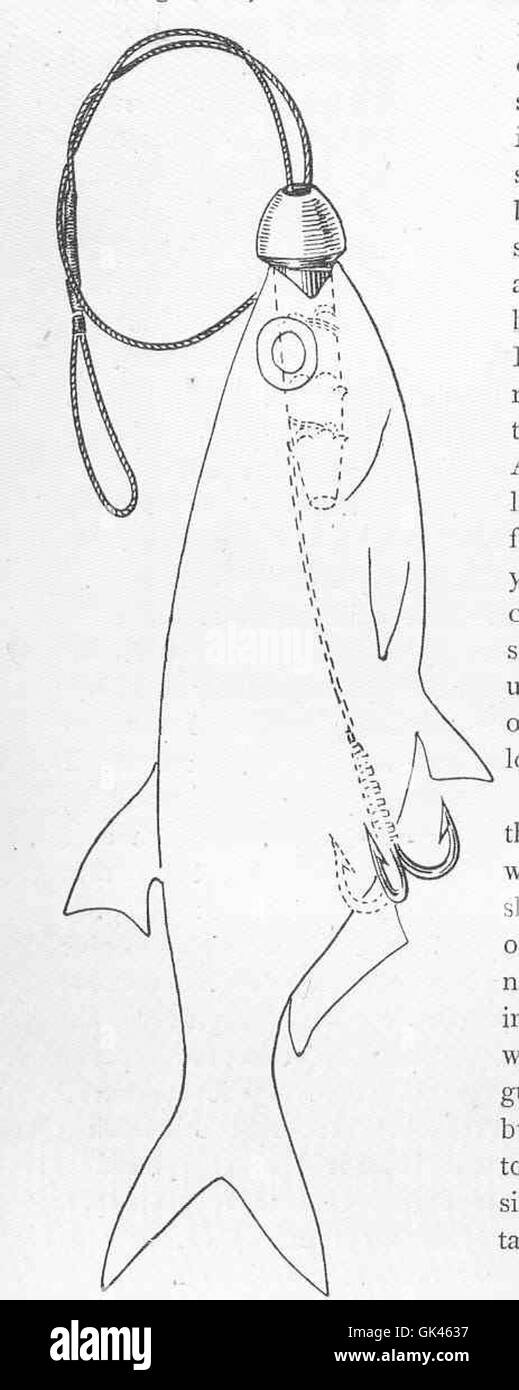 Il singolo gancio di ventilazione con un lavandino speciale viene utilizzato per la filatura delle esche morte, una tecnica applicata nella pesca del Mahseer, un pregiato pesce selvatico d'acqua dolce. Il design dell'attrezzatura agevola la presentazione delle esche e la precisione della colata. Foto Stock