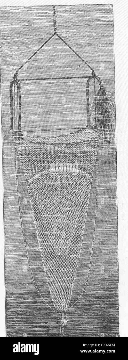 Una rete da traino (chalut) in uso a bordo della nave Talisman. La rete da traino è utilizzata per operazioni di pesca commerciale, catturando pesce in grandi quantità, un metodo standard utilizzato dalla nave per una raccolta efficiente dei frutti di mare. Foto Stock